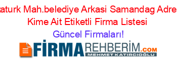Ataturk+Mah.belediye+Arkasi+Samandag+Adresi+Kime+Ait+Etiketli+Firma+Listesi Güncel+Firmaları!