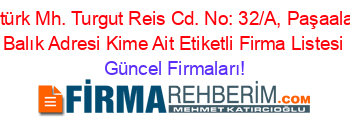 Atatürk+Mh.+Turgut+Reis+Cd.+No:+32/A,+Paşaalanı,+Balık+Adresi+Kime+Ait+Etiketli+Firma+Listesi Güncel+Firmaları!