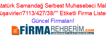 Atatürk+Samandağ+Serbest+Muhasebeci+Mali+Müşavirler/7113/427/38/””+Etiketli+Firma+Listesi Güncel+Firmaları!