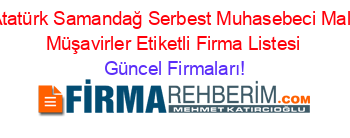 Atatürk+Samandağ+Serbest+Muhasebeci+Mali+Müşavirler+Etiketli+Firma+Listesi Güncel+Firmaları!