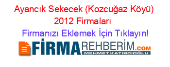 Ayancık+Sekecek+(Kozcuğaz+Köyü)+2012+Firmaları+ Firmanızı+Eklemek+İçin+Tıklayın!