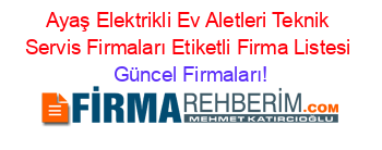 Ayaş+Elektrikli+Ev+Aletleri+Teknik+Servis+Firmaları+Etiketli+Firma+Listesi Güncel+Firmaları!