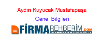 Aydın+Kuyucak+Mustafapaşa Genel+Bilgileri
