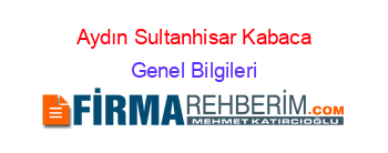 Aydın+Sultanhisar+Kabaca Genel+Bilgileri