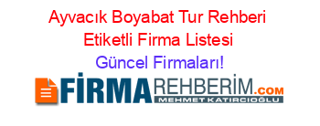 Ayvacık+Boyabat+Tur+Rehberi+Etiketli+Firma+Listesi Güncel+Firmaları!