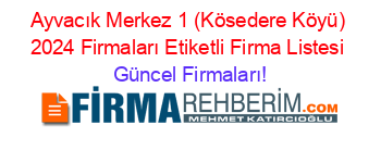 Ayvacık+Merkez+1+(Kösedere+Köyü)+2024+Firmaları+Etiketli+Firma+Listesi Güncel+Firmaları!