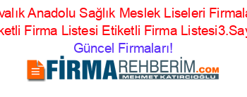 Ayvalık+Anadolu+Sağlık+Meslek+Liseleri+Firmaları+Etiketli+Firma+Listesi+Etiketli+Firma+Listesi3.Sayfa Güncel+Firmaları!