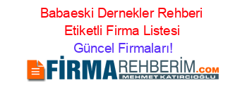 Babaeski+Dernekler+Rehberi+Etiketli+Firma+Listesi Güncel+Firmaları!