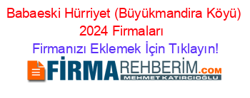 Babaeski+Hürriyet+(Büyükmandira+Köyü)+2024+Firmaları+ Firmanızı+Eklemek+İçin+Tıklayın!