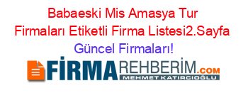 Babaeski+Mis+Amasya+Tur+Firmaları+Etiketli+Firma+Listesi2.Sayfa Güncel+Firmaları!