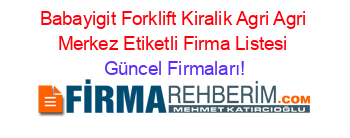 Babayigit+Forklift+Kiralik+Agri+Agri+Merkez+Etiketli+Firma+Listesi Güncel+Firmaları!