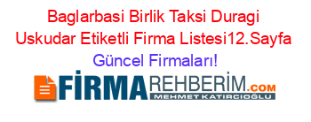 Baglarbasi+Birlik+Taksi+Duragi+Uskudar+Etiketli+Firma+Listesi12.Sayfa Güncel+Firmaları!