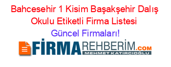 Bahcesehir+1+Kisim+Başakşehir+Dalış+Okulu+Etiketli+Firma+Listesi Güncel+Firmaları!