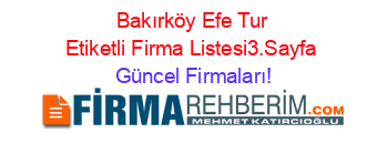 Bakırköy+Efe+Tur+Etiketli+Firma+Listesi3.Sayfa Güncel+Firmaları!