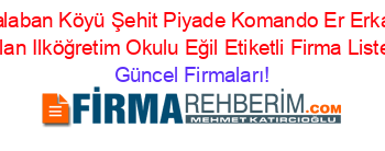 Balaban+Köyü+Şehit+Piyade+Komando+Er+Erkan+Aslan+Ilköğretim+Okulu+Eğil+Etiketli+Firma+Listesi Güncel+Firmaları!