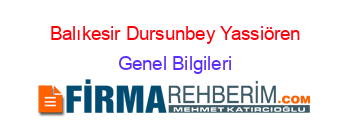 Balıkesir+Dursunbey+Yassiören Genel+Bilgileri