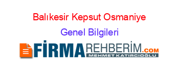 Balıkesir+Kepsut+Osmaniye Genel+Bilgileri