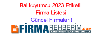 Balikuyumcu+2023+Etiketli+Firma+Listesi Güncel+Firmaları!