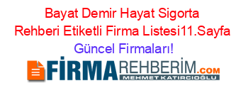 Bayat+Demir+Hayat+Sigorta+Rehberi+Etiketli+Firma+Listesi11.Sayfa Güncel+Firmaları!