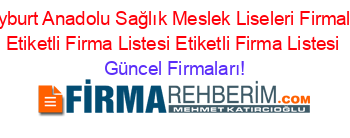 Bayburt+Anadolu+Sağlık+Meslek+Liseleri+Firmaları+Etiketli+Firma+Listesi+Etiketli+Firma+Listesi Güncel+Firmaları!