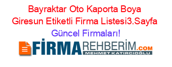 Bayraktar+Oto+Kaporta+Boya+Giresun+Etiketli+Firma+Listesi3.Sayfa Güncel+Firmaları!