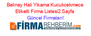 Belinay+Hali+Yikama+Kucukcekmece+Etiketli+Firma+Listesi2.Sayfa Güncel+Firmaları!