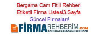 Bergama+Cam+Fitili+Rehberi+Etiketli+Firma+Listesi3.Sayfa Güncel+Firmaları!