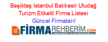 Beşiktaş+Istanbul+Balıkesir+Uludağ+Turizm+Etiketli+Firma+Listesi Güncel+Firmaları!