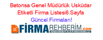 Betonsa+Genel+Müdürlük+Usküdar+Etiketli+Firma+Listesi6.Sayfa Güncel+Firmaları!