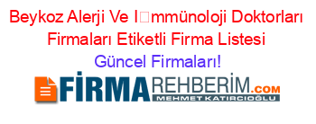 Beykoz+Alerji+Ve+İmmünoloji+Doktorları+Firmaları+Etiketli+Firma+Listesi Güncel+Firmaları!