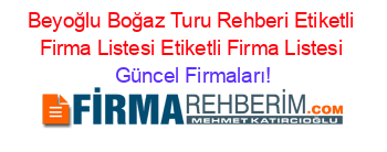 Beyoğlu+Boğaz+Turu+Rehberi+Etiketli+Firma+Listesi+Etiketli+Firma+Listesi Güncel+Firmaları!