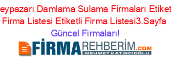 Beypazarı+Damlama+Sulama+Firmaları+Etiketli+Firma+Listesi+Etiketli+Firma+Listesi3.Sayfa Güncel+Firmaları!