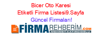 Bicer+Oto+Karesi+Etiketli+Firma+Listesi9.Sayfa Güncel+Firmaları!