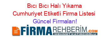 Bıcı+Bıcı+Halı+Yıkama+Cumhuriyet+Etiketli+Firma+Listesi Güncel+Firmaları!