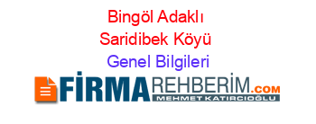 Bingöl+Adaklı+Saridibek+Köyü Genel+Bilgileri