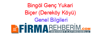 Bingöl+Genç+Yukari+Biçer+(Dereköy+Köyü) Genel+Bilgileri