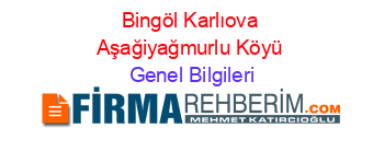 Bingöl+Karlıova+Aşağiyağmurlu+Köyü Genel+Bilgileri