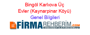 Bingöl+Karlıova+Üç+Evler+(Kaynarpinar+Köyü) Genel+Bilgileri