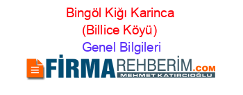 Bingöl+Kiğı+Karinca+(Billice+Köyü) Genel+Bilgileri