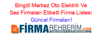 Bingöl+Merkez+Oto+Elektrik+Ve+Ses+Firmaları+Etiketli+Firma+Listesi Güncel+Firmaları!