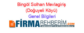 Bingöl+Solhan+Mevlagiriş+(Doğuyeli+Köyü) Genel+Bilgileri