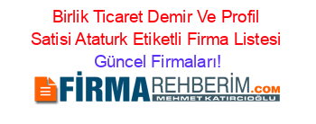 Birlik+Ticaret+Demir+Ve+Profil+Satisi+Ataturk+Etiketli+Firma+Listesi Güncel+Firmaları!