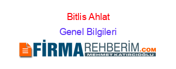 Bitlis+Ahlat Genel+Bilgileri