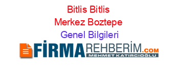 Bitlis+Bitlis+Merkez+Boztepe Genel+Bilgileri
