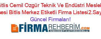 Bitlis+Cemil+Ozgür+Teknik+Ve+Endüstri+Meslek+Lisesi+Bitlis+Merkez+Etiketli+Firma+Listesi2.Sayfa Güncel+Firmaları!