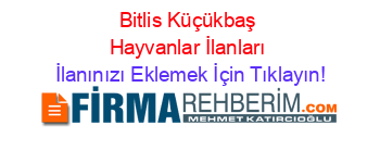 Bitlis+Küçükbaş+Hayvanlar+İlanları İlanınızı+Eklemek+İçin+Tıklayın!