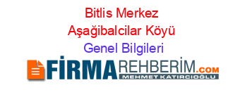 Bitlis+Merkez+Aşağibalcilar+Köyü Genel+Bilgileri