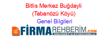 Bitlis+Merkez+Buğdayli+(Tabanözü+Köyü) Genel+Bilgileri