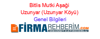 Bitlis+Mutki+Aşaği+Uzunyar+(Uzunyar+Köyü) Genel+Bilgileri