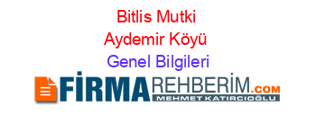 Bitlis+Mutki+Aydemir+Köyü Genel+Bilgileri